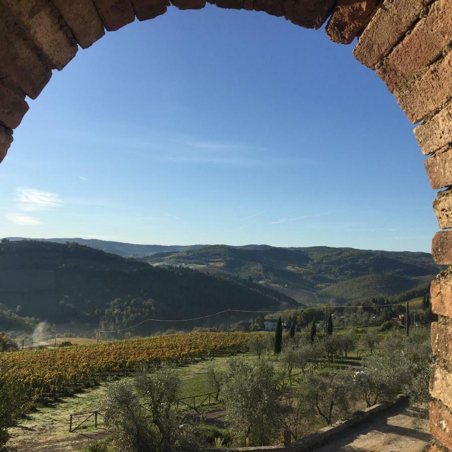 Appartement Casa Ana à Greve in Chianti Extérieur photo