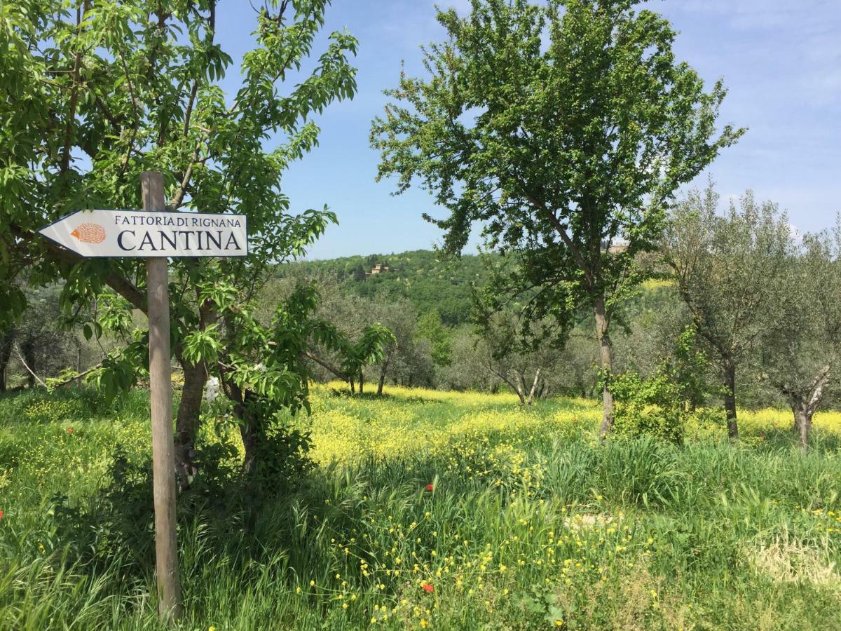 Appartement Casa Ana à Greve in Chianti Extérieur photo